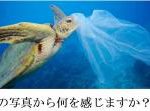 廃プラスチック小口回収対応の開始